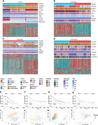 Large-scale bulk RNA-seq analysis defines immune evasion mechanism related to mast cell in gliomas